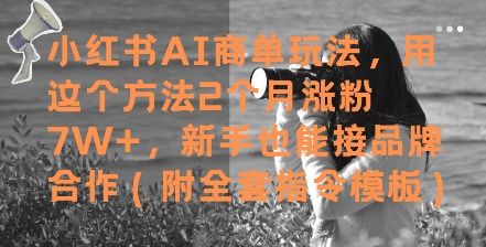 小红书AI商单玩法,用这个方法2个月涨粉7W+,新手也能接品牌合作(附全套指令模板)-樵渔匹