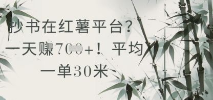 抄书在小红薯平台?平均一单30米,一天收益几张!-樵渔匹