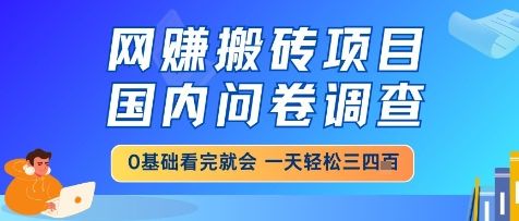 网创搬砖项目，国内问卷调查，小白轻松上手，一天三四张的也不难，干就完了【揭秘】-樵渔匹