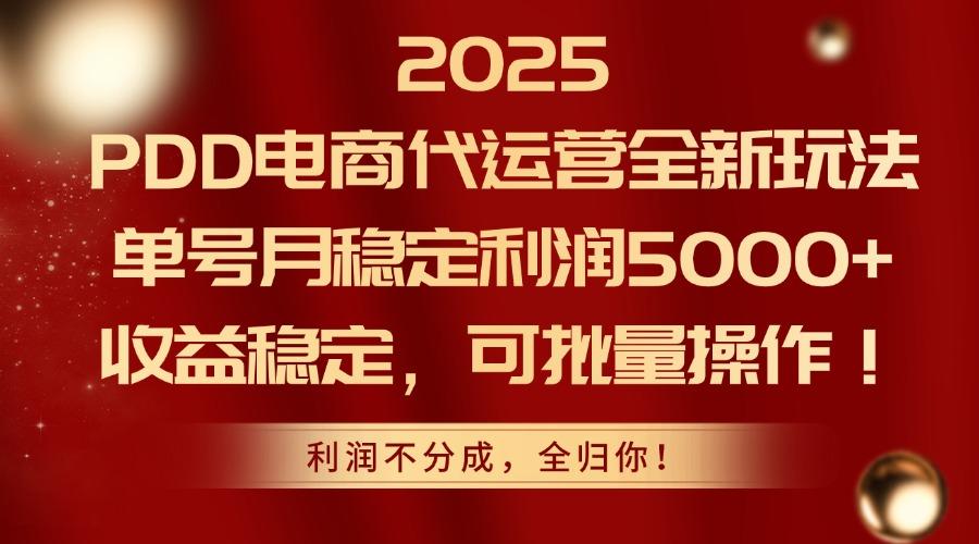 2025PDD电商代运营全新玩法,单号月稳定利润5000+,收益稳定,可批量操作-樵渔匹