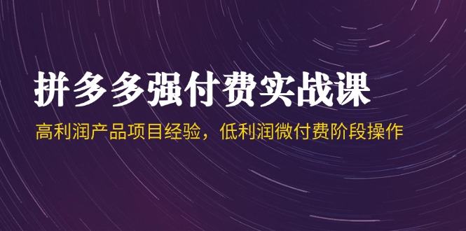 拼多多强付费实战课-44期，高利润产品项目经验，低利润微付费阶段操作-樵渔匹