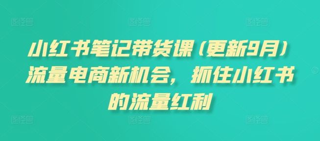 小红书笔记带货课(更新25年5月)流量电商新机会，抓住小红书的流量红利-樵渔匹