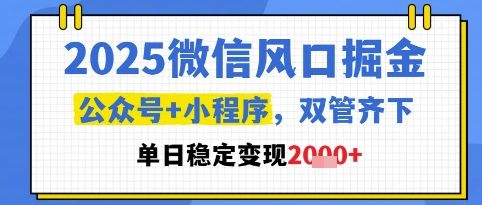2025微信风口掘金，公众号+小程序双管齐下，单日稳定变现1k+【揭秘】-樵渔匹