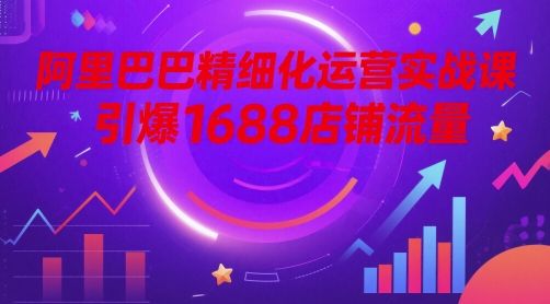 阿里巴巴精细化运营实战课,引爆1688店铺流量-樵渔匹