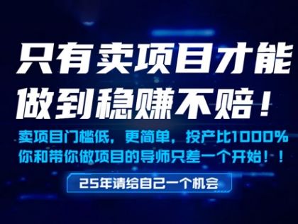 只有卖项目才能做到稳挣不赔，门槛低，更简单，你也可以年入百个W【揭秘】-樵渔匹