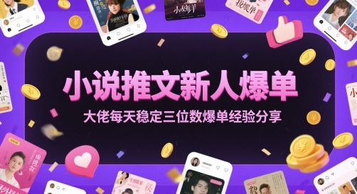 小说推文新人爆单大佬每天稳定三位数爆单经验分享-樵渔匹