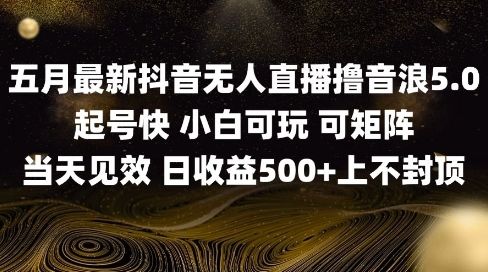 2025五月最新无人直播撸音浪单日产出5张+实操教程【揭秘】-樵渔匹