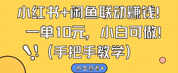 小红书+闲鱼联动挣钱，一单10元，小白可做-樵渔匹