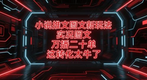 小说推文图文新玩法,实况图文,万播二十单,这转化太牛了!-樵渔匹