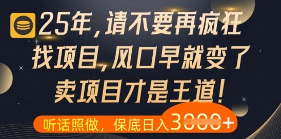 什么?25年你还在疯狂找项目做,醒醒吧,看完这些你全都懂了【揭秘】-樵渔匹