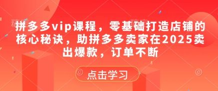 拼多多vip课程，零基础打造店铺的核心秘诀，助拼多多卖家在2025卖出爆款，订单不断-樵渔匹