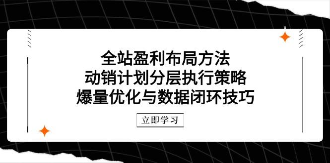 全站盈利布局方法:动销计划分层执行策略,爆量优化与数据闭环技巧-樵渔匹
