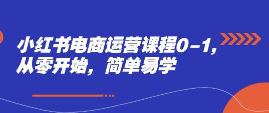 小红书电商运营课程0-1，从零开始，简单易学-樵渔匹