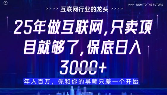 什么!25年你还在找项目做?风口早就变了,卖项目才是稳挣不赔【揭秘】-樵渔匹