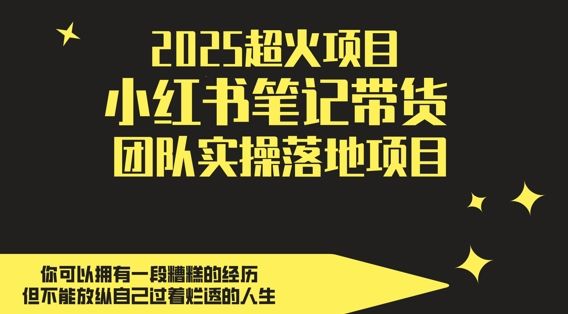 2025超火项目,副业最佳选择,小红书笔记带货团队实操落地项目,,轻松日入5张-樵渔匹