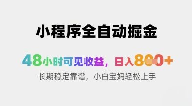 小程序全自动掘金,48小时可见收益,日入8张+长期稳定靠谱,小白宝妈轻松上手【揭秘】-樵渔匹