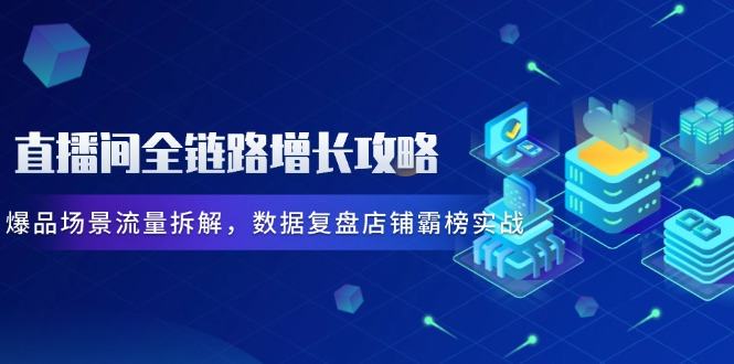 直播间全链路增长攻略，爆品场景流量拆解，数据复盘店铺霸榜实战-樵渔匹