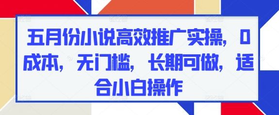 五月份小说高效推广实操,0成本,无门槛,长期可做,适合小白操作-樵渔匹