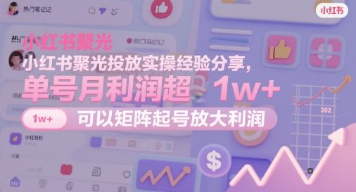 小红书聚光投放实操经验分享,单号月利润超1w+,可以矩阵起号放大利润-樵渔匹