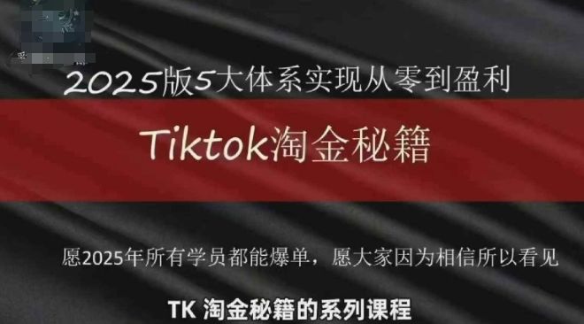 TikTok跨境2025淘金秘籍,2025TikTok从0到盈利变现-樵渔匹