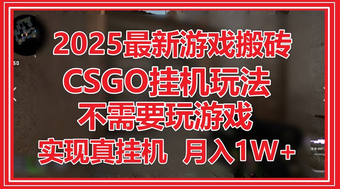 2025最新游戏搬砖，CSGO挂机，不需要玩游戏，实现真挂机，月入1W+-樵渔匹