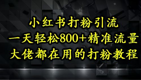 小红书打粉引流，一天轻松500+精准流量，大佬都在用的打粉教程-樵渔匹