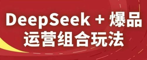 DeepSeek+爆品运营组合玩法,2025淘系精品课-樵渔匹