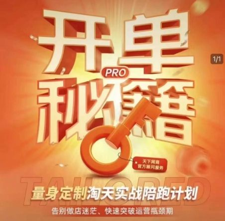 淘宝开单秘籍PRO，量身定制淘天实战陪跑计划，告别做店迷茫、快速突破运营瓶颈期(更新)-樵渔匹