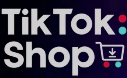 TikTokShop跨境电商0-1实战,手把手教你低成本启动海外市场(更新)
