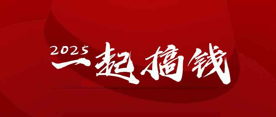 2025年,请“不择手段”去搞钱!-樵渔匹