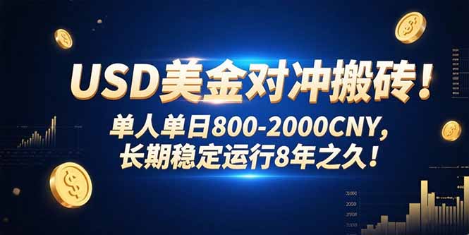 USD美金对冲搬砖!单人单日800-2000CNY，长期稳定运行8年之久!-樵渔匹