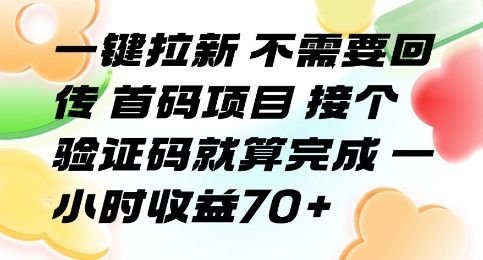 一键拉新 不需要回传 首码项目 接个验证码就算完成 一小时收益70+【揭秘】-樵渔匹