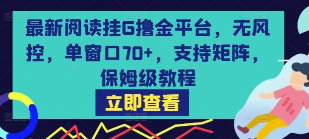 最新阅读挂G撸金平台，无风控，单窗口70+，支持矩阵，保姆级教程【揭秘】-樵渔匹