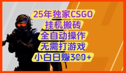 25年独家CSGO挂G搬砖,全自动操作,无需打游戏,小白日入3张+【揭秘】-樵渔匹