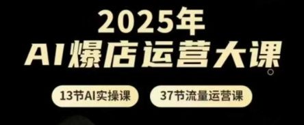 2025年AI爆店运营大课,13节AI实操课+37节流量运营课-樵渔匹