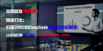 精准打击:价值3980的DeepSeek私域引流实操课,小白实操无门槛,日引精准粉300+-樵渔匹