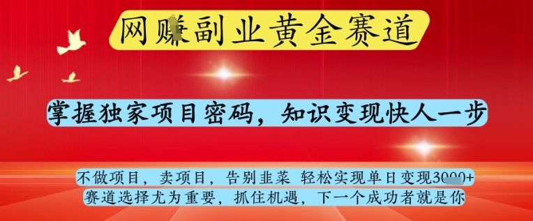 网创副业黄全赛道,掌握独家项目密码,知识变现快人一步,告别韭菜轻松实现单日变现1k+【揭秘】-樵渔匹