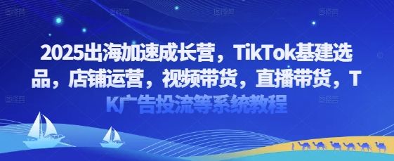 2025出海加速成长营，TikTok基建选品，店铺运营，视频带货，直播带货，TK广告投流等系统教程-樵渔匹