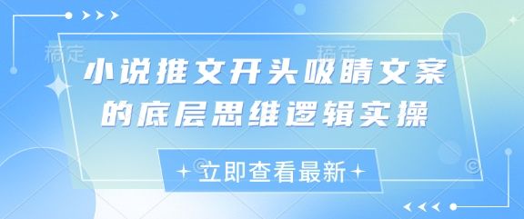 小说推文开头吸睛文案的底层思维逻辑实操-樵渔匹