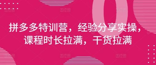 拼多多特训营，经验分享实操，课程时长拉满，干货拉满(更新25年4月)-樵渔匹