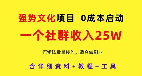 强势文化项目,一个社群收入25个W,0成本启动,可矩阵批量操作,原创详细实操教程-樵渔匹