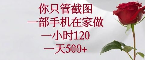 你只管截图,一部手机在家可以做,一小时120.一天5张+【揭秘】-樵渔匹