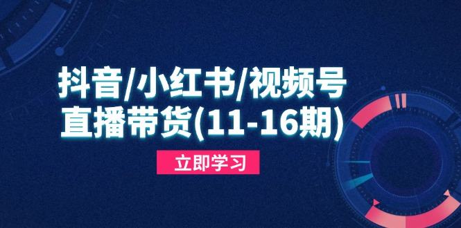 抖音/小红书/视频号/直播带货(11-16期-樵渔匹