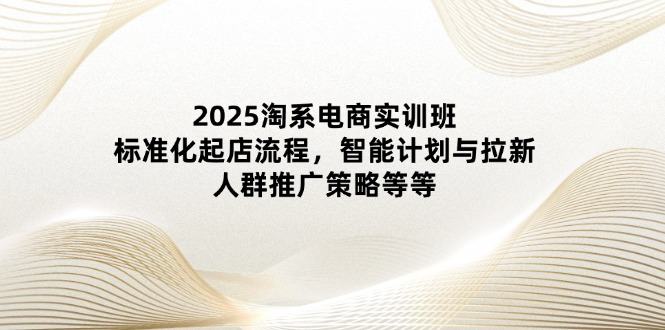 2025淘系电商实训班:标准化起店流程,智能计划与拉新,人群推广策略等等-樵渔匹