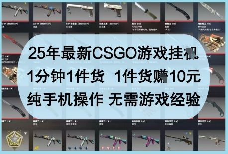 25年最新CSGO游戏挂G,1分钟1件货,1件货挣10元,纯手机操作,无需游戏经验【揭秘】-樵渔匹