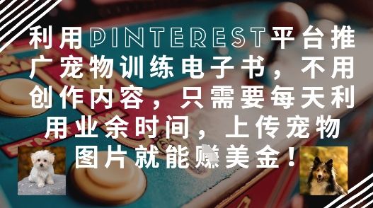 利用Pinterest平台推广宠物训练电子书，不用创作内容，只需要每天利用业余时间，上传宠物图片就能挣美金!-樵渔匹