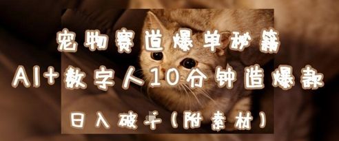 宠物赛道爆单秘籍:AI+数字人10分钟造爆款,日入1k-樵渔匹