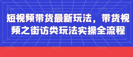 短视频带货最新玩法，带货视频之街访类玩法实操全流程-樵渔匹