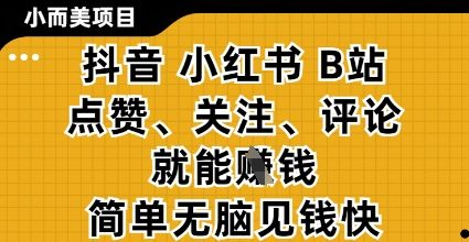 小而美的项目,抖音小红书B站视频点赞、关注、评论就能挣钱,简单无脑立见收益,妥妥的零撸项目【揭秘】-樵渔匹