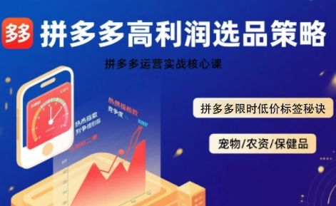 拼多多选品暴利技术实战课,拼多多高利润选品策略,拼多多限时低价标签秘诀-樵渔匹